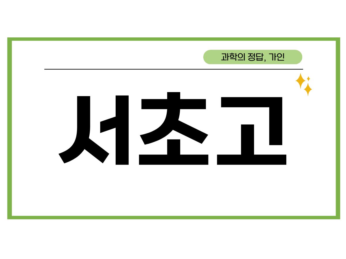 서초고 2학기 시간표