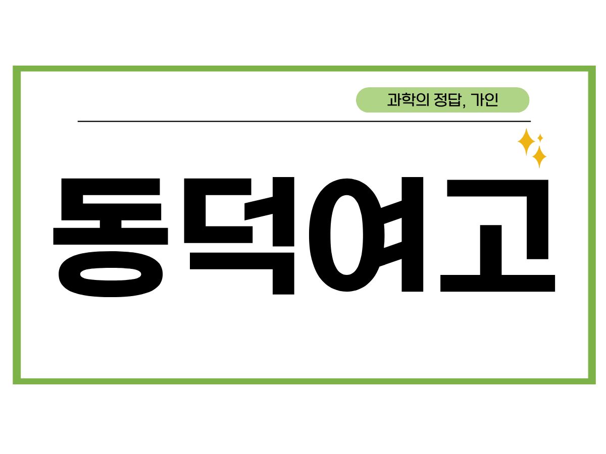 동덕여고 2학기 시간표