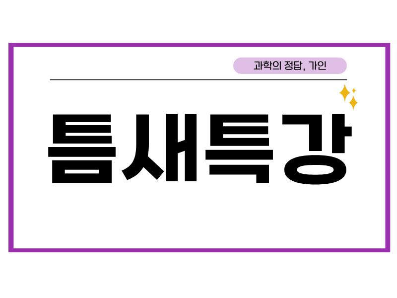12월 틈새 특강