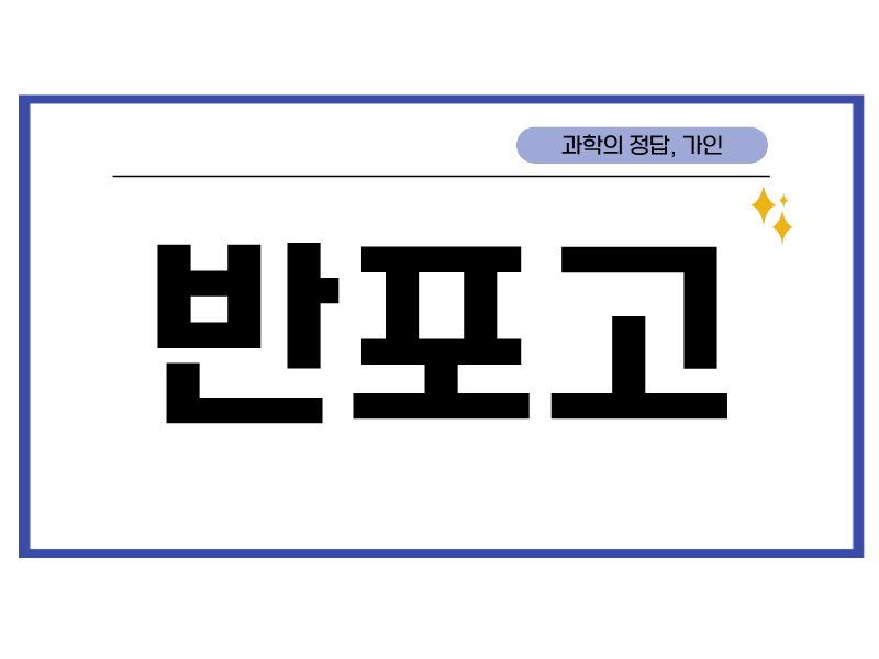 반포고 겨울방학 시간표