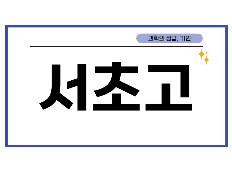 서초고 겨울방학 시간표